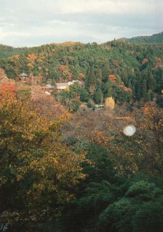 The Yoshino Mountains in Autumn
